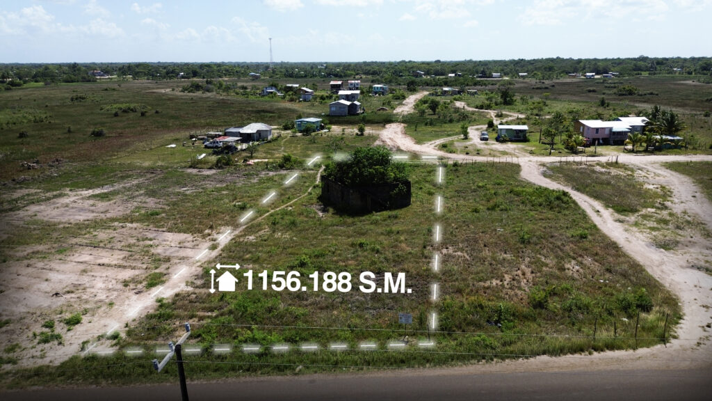 DCIM101MEDIADJI_0102.JPG