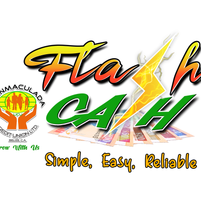 Flash Cash logo png